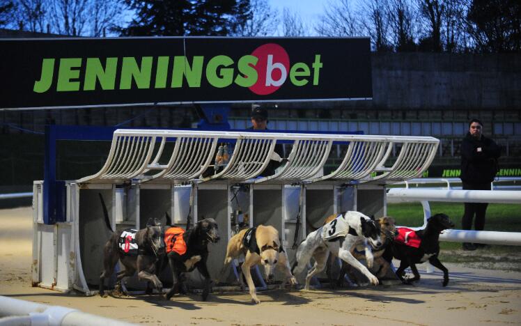 Central Park Greyhounds.